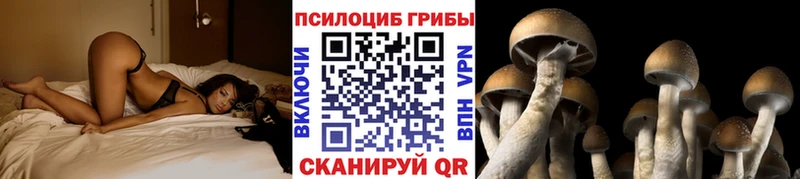 Галлюциногенные грибы Psilocybine cubensis  Купить закладки  Пыталово 